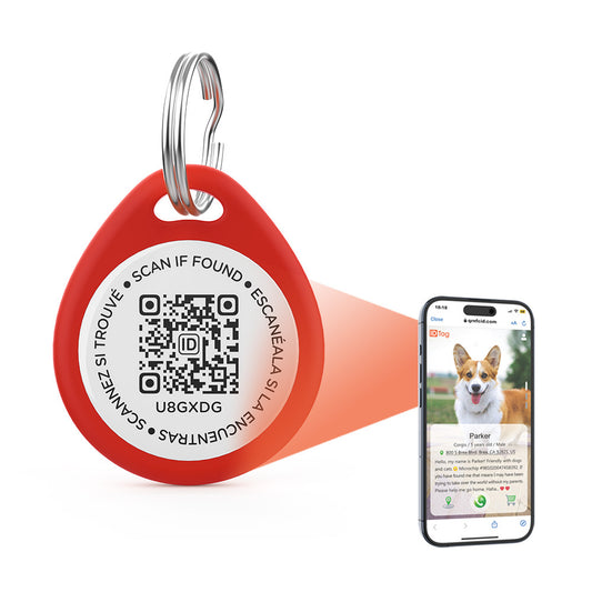 Find My Four Legged Friend, QR Code Dog Tag